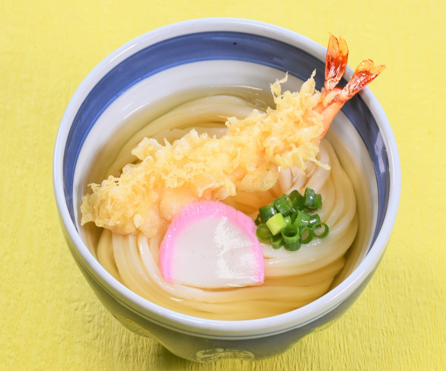 <453-460153> 冷凍さぬきうどん 詰合せ (10人前)