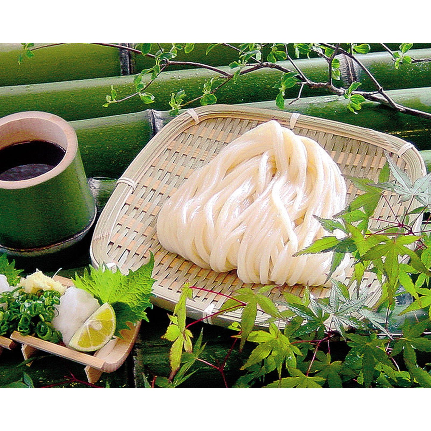 <413-460111>冷凍うどんざる5玉(つゆ付)